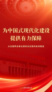 中国式现代化：全球最大保障体系下的幸福与安全