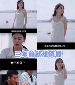 《再见爱人》：黄圣依婚姻故事引发热议