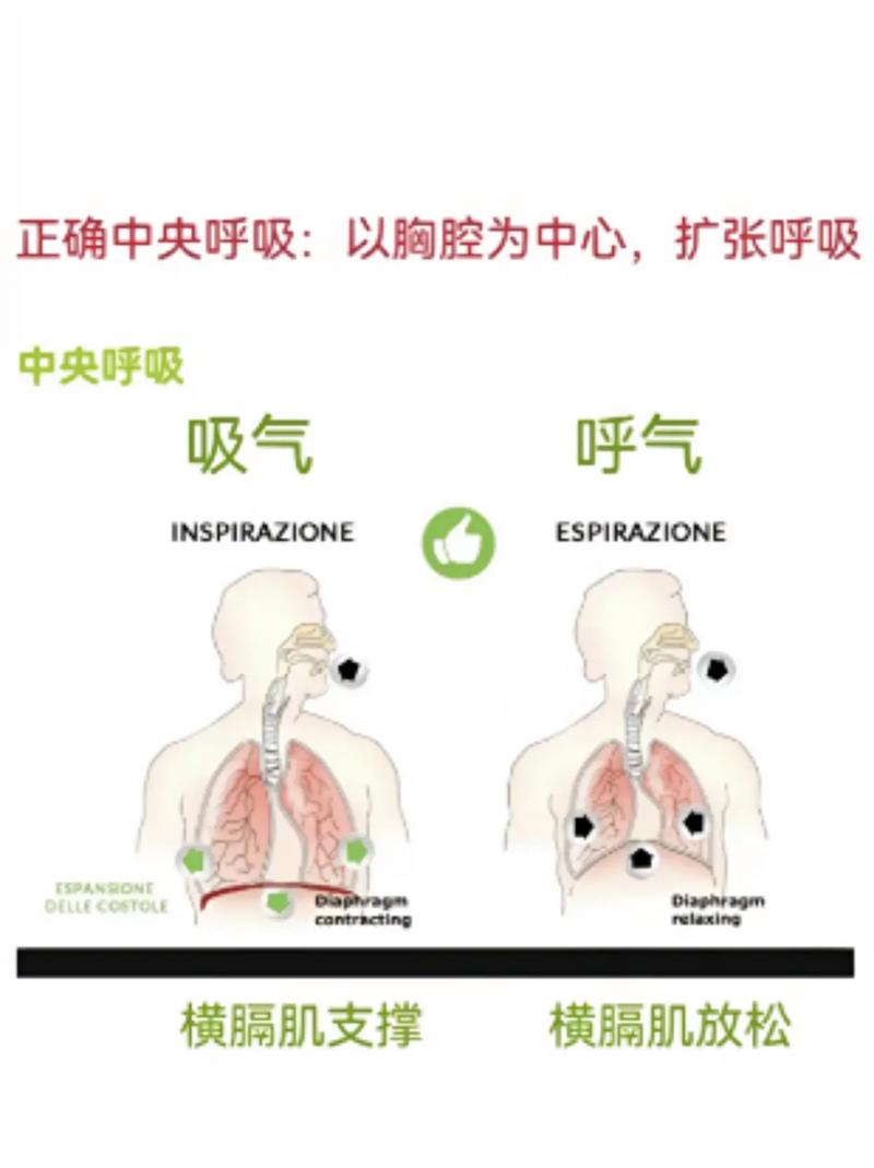 唱歌气息源头揭秘：肺腹膈肌联动技巧