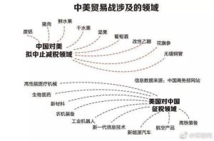 解码半合：多领域含义解析