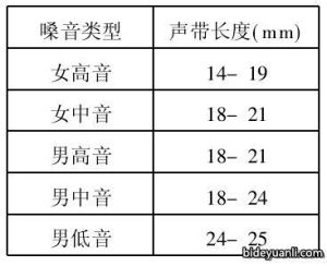 突破音域瓶颈：揭秘高音上不去的成因及突破技巧