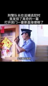 逃犯变演员终归案：哈尔滨刑警杨琳追捕传奇！