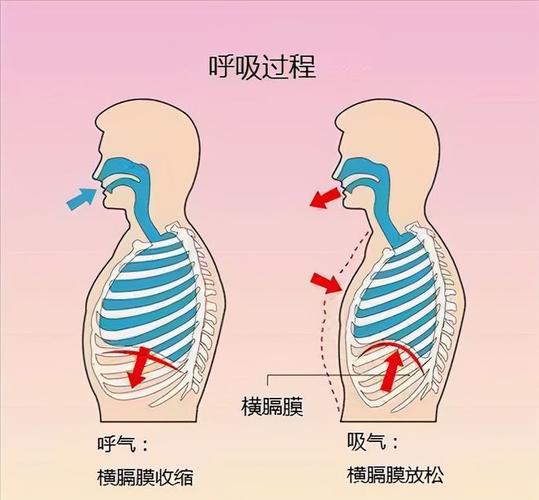 唱歌难题解：呼吸喉咙音准与心理调适攻略