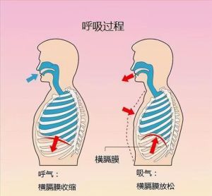 唱歌难题解：呼吸喉咙音准与心理调适攻略