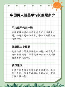 揭秘男性生殖尺寸之谜：长度与性功能真相