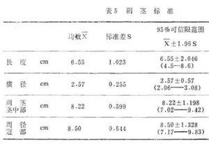 男性阴茎直径6cm：真实情况与心理认知