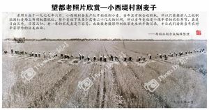 故乡泥土：春雪麦茬，改革开放下的乡村变迁