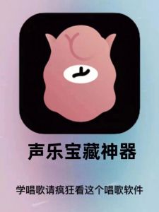 免费学唱歌APP，开启音乐之旅新篇章！