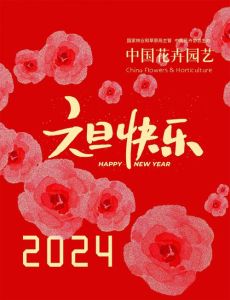 2024国产爱情片困境：元旦档挑战与行业反思