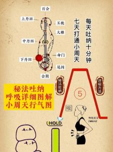 道家呼吸吐纳法：完整修炼指南