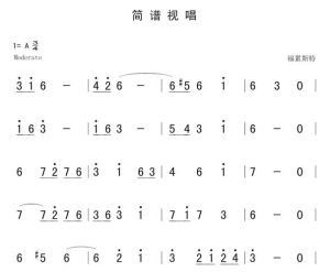 二声部视唱简谱：音乐入门与素养提升之道