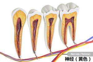 声带损伤恢复攻略：科学护理与康复技巧