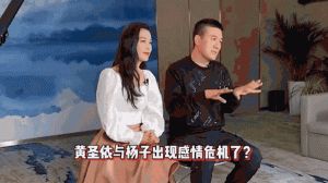 《再见爱人》杨子黄圣依婚姻争议，节目引发网友热议