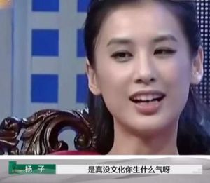 《再见爱人》争议：杨子黄圣依夫妻矛盾，麦琳成网红引热议