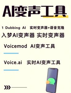 科技变声时代：变声器的魅力与挑战