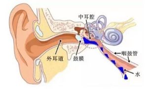 揭秘咽口水鼓膜响声：人体奇妙生理现象解析