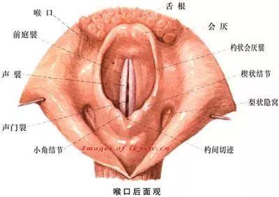 声带裂隙是什么？原因及治疗方法