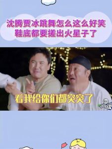 PGONE沈阳演唱会下架，娱乐圈艺人需自律