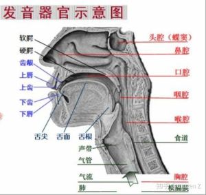 如何辨别唱歌时是否压嗓子？