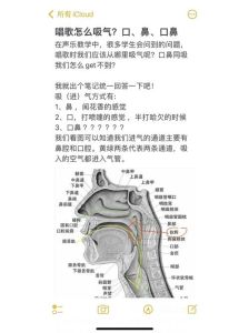 唱歌呼吸技巧：鼻子真的需要憋住吗？