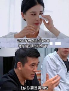 《再见爱人》：夫妻矛盾综艺，引爆热议与话题狂潮